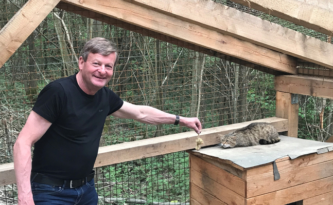 Landesrat Waldhäusl besuchte das neue Wildkatzengehege im Tierpark Buchenberg 